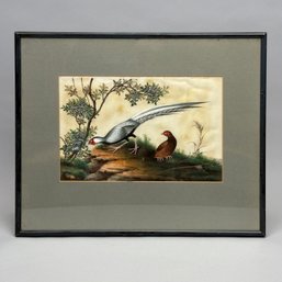 China Trade Ornithological Painting, 19th Century