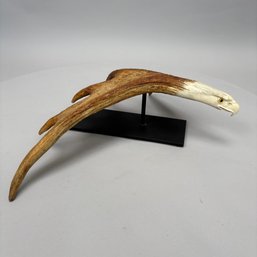 Stan Hill, Jr. - Moose Antler Carved As A Bald Eagle In Flight, 1988