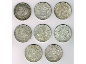 Eight Morgan Silver Dollars