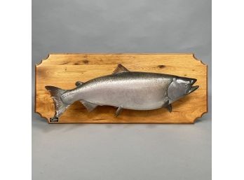 Taxidermy Salmon, Mounted On A Wood Plaque.