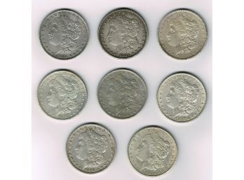 Eight Morgan Silver Dollars