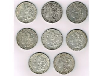 Eight Morgan Silver Dollars