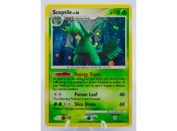 SCEPTILE Stormfront Set Reverse Holographic Pokemon Card!!!