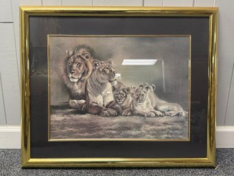 (P-6) LARGE FRAMED VINTAGE PRINT - LIONS & CUBS BY TONY GIFFORD - 33' BY 28'