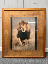 (P-10) VINTAGE FRAMED LION IN MOTION  WILDLIFE PHOTOGRAPHY PRINT - 39' BY 46'