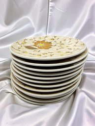 (A-90) VINTAGE SET OF 12 MIKASA PLATES APPROX. 7.5R-BROWN EYESJAPAN