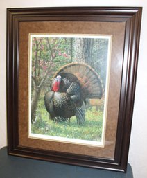 Framed & Double Matted Print, 'Show Me' By Scott Diebold, 29x35'H  (119)