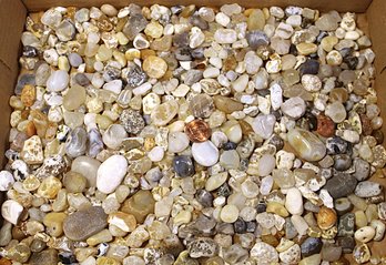 Jar Of Beach Agates, Mostly Unpolished From Humboldt, Calif.  (120)