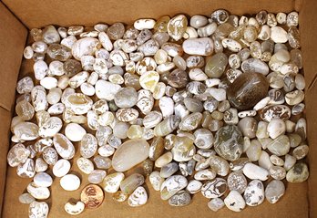 Bag Of Polished Beach Agates From Humboldt, Ca  (121)