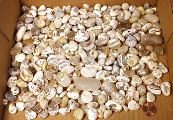 Bag Of Polished Beach Agates From Humboldt, Ca  (125)