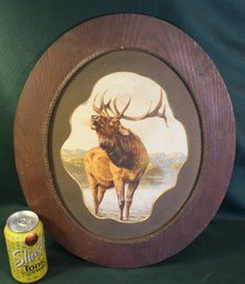 Antique Framed Elk Print, 15x18'H  (168)