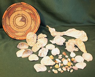 Assorted Sea Shells In 10'D Coiled Ethnic Basket   (170)