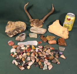 Assorted Polished Rocks, Unpolished Rocks & Small Antlers   (320)