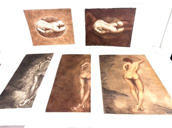 Vintage Nude Drawings