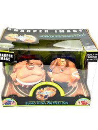 Sumo King Wrestling Fighters Remote Control Toy
