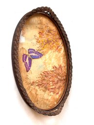 Vintage Butterfly Tray