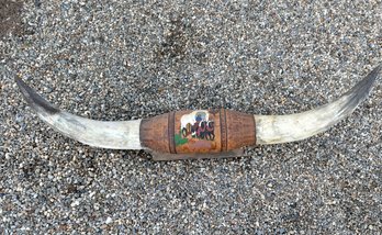 Vintage Huge Bull / Longhorn Horns With Tooled Leather Mount