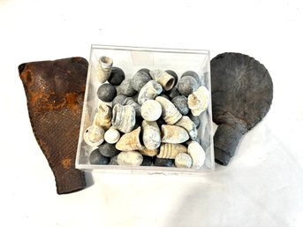 Vintage Box Of Civil War Items And Pouches