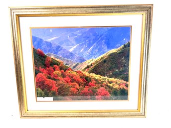 Vintage Framed Photo Mountain Top