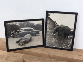 2pc. Vintage Framed Safari Photos