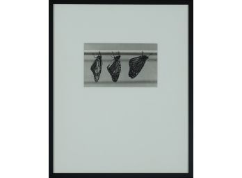 Isabel Lewando (Am. 20th-21st Century) - 'A Chorus Line' 1982