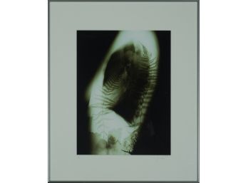 Maggie Foskett (Brazilian/Am. 1919-2014) - 'Color From Her Darkroom'