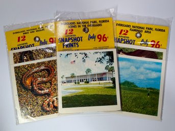 Vintage 'Snapshot Prints' Postcard Packs From Everglades National Park, Florida