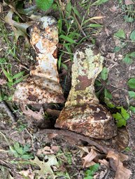 Cast  Iron Bath Tub Replacement Claw Foot