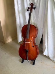 Cello 30 Inch Body - Labeled Palatino