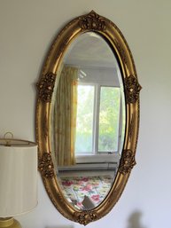 Oval Gold Framed Bevel Mirror - 24x46