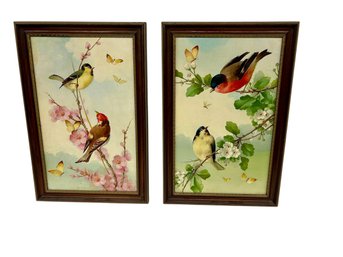 Pair Of Signed Oil On Board - Birds And Butterflies