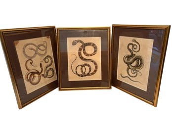 Three J. Wilkins 1801 Prints