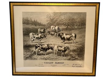 Vintage Framed Print Of Violet Family Cows - 21.5x25
