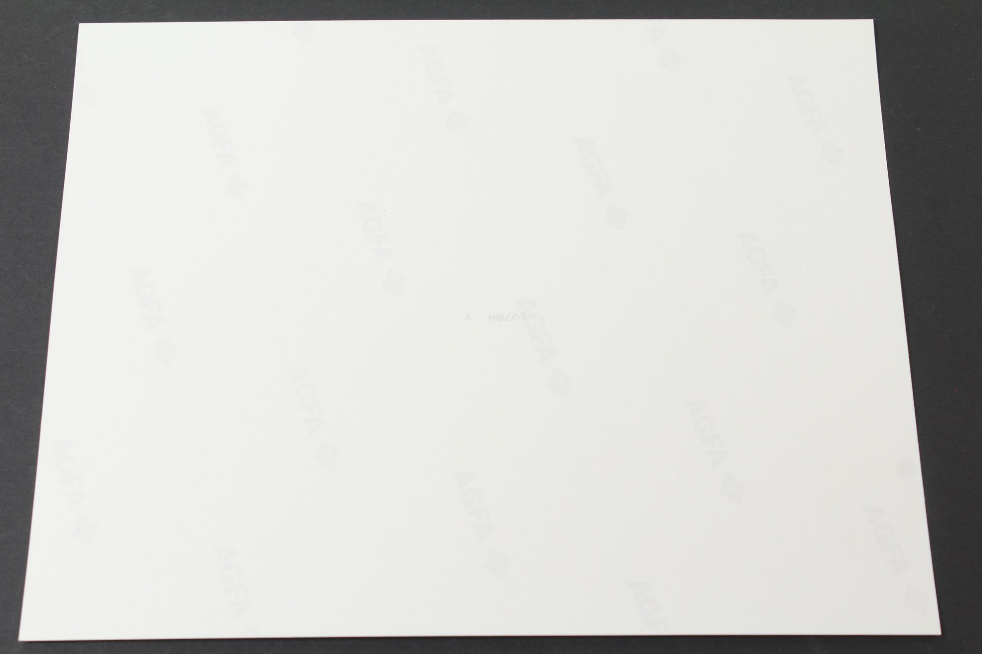 Amanda Donohoe Signed Nude Photo - L.A. Law #3949 | Auctionninja.com