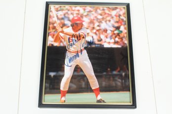 Cincinnati Reds Baseball Player And HOF #5 Johnny Bench Signed Photo