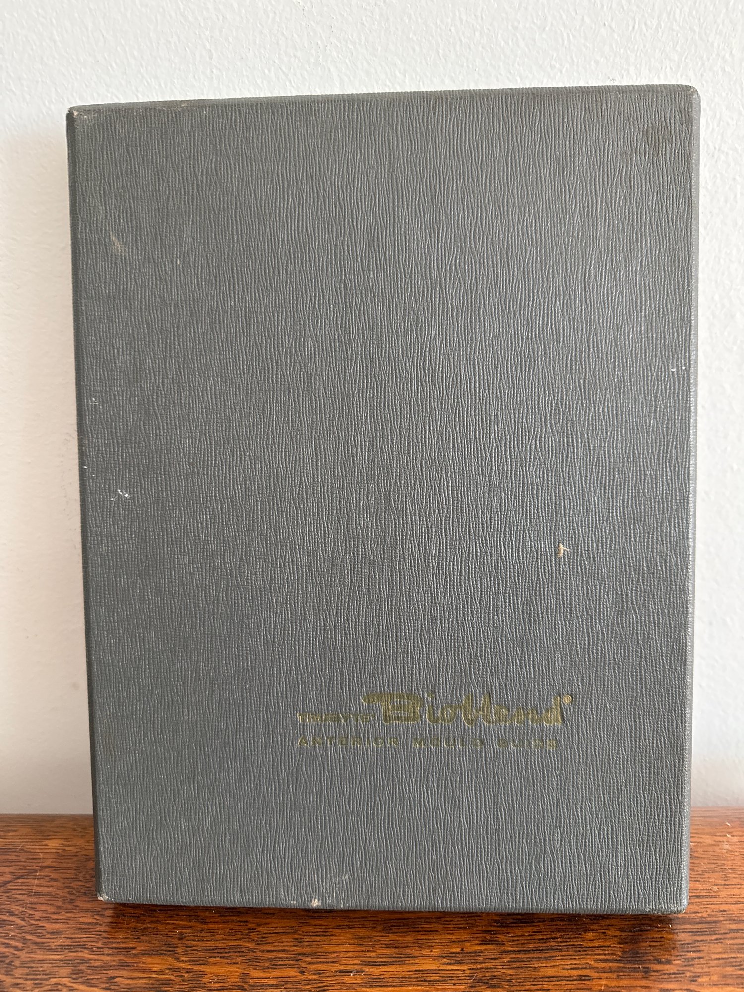 Vintage Trubyte Bioblend Anterior Mould Guide - Dental Porcelain