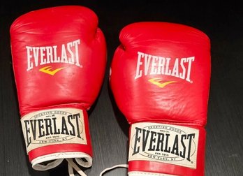 Pair Of Everlast Boxing Gloves 10 Oz