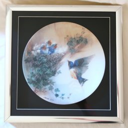 Swallow Family In Nest Collector's Plate Framed