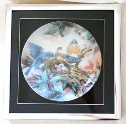 Robin Family In Nest Collector's Plate Framed