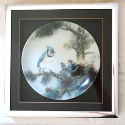 Blue Jay Collector's Plate Framed