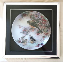 Robin With Berries Collector's Plate Framed