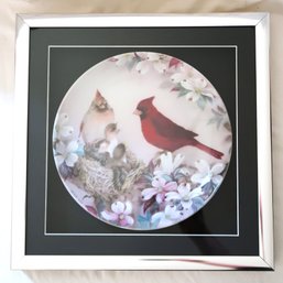 Cardinal Family In Nest Collector's Plate Framed