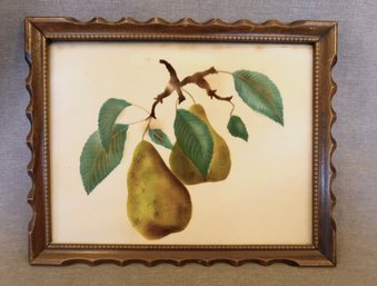 Velvet Stencil Painting - Pears