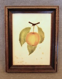 Velvet Stencil Painting - Apricot