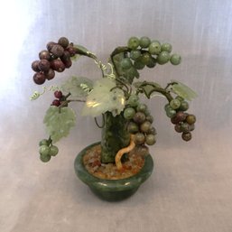 Bonsai Grape Jade Tree Bonsai