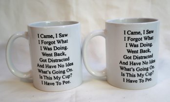 I Came I Saw I Forgot What I Was Doing Coffee Mug, Set Of 2