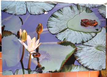 Frogs Resting On Lilly Pads Photograph