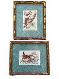Framed Bird Prints In Bamboo-Style Frames