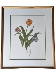 Friborg Botanical Print Of Tulips In Gilt Frame