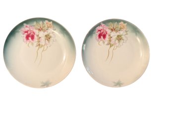 Two Tirschenreuth Bavaria Floral Dessert Plates, 6 Inches
